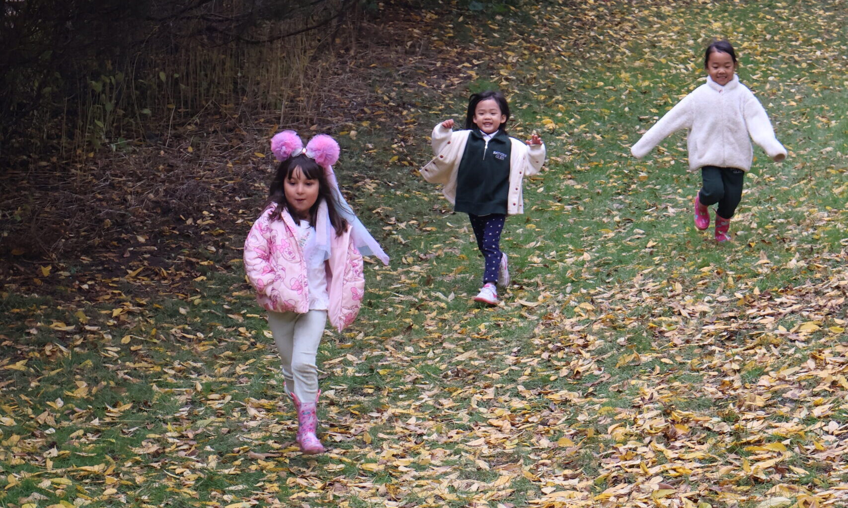 Lower School Signature Programmes: Learning Beyond the Classroom